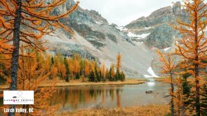 larch-valley-bc-canmore-travel