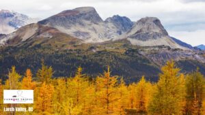 larch-valley-bc-canmore-travel-tours