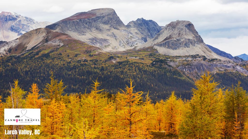 larch-valley-bc-canmore-travel-tours