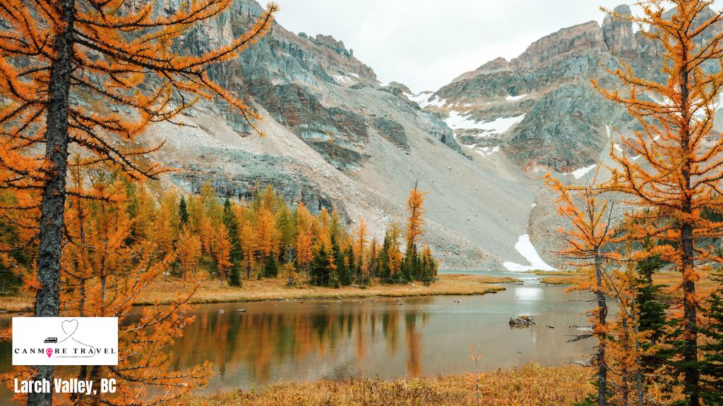 larch-valley-bc-canmore-travel